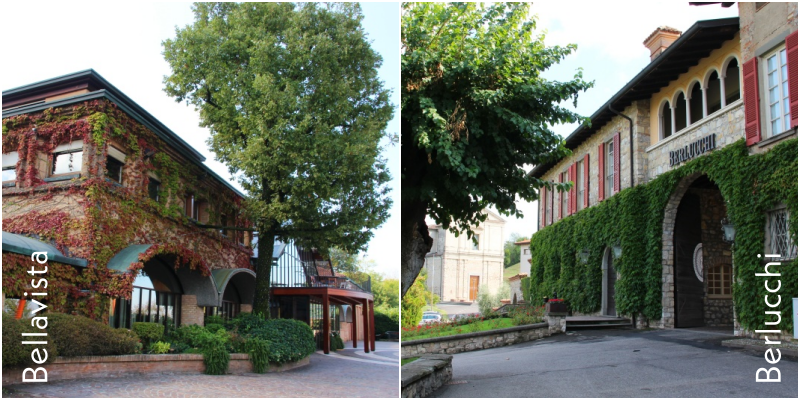 collage winery